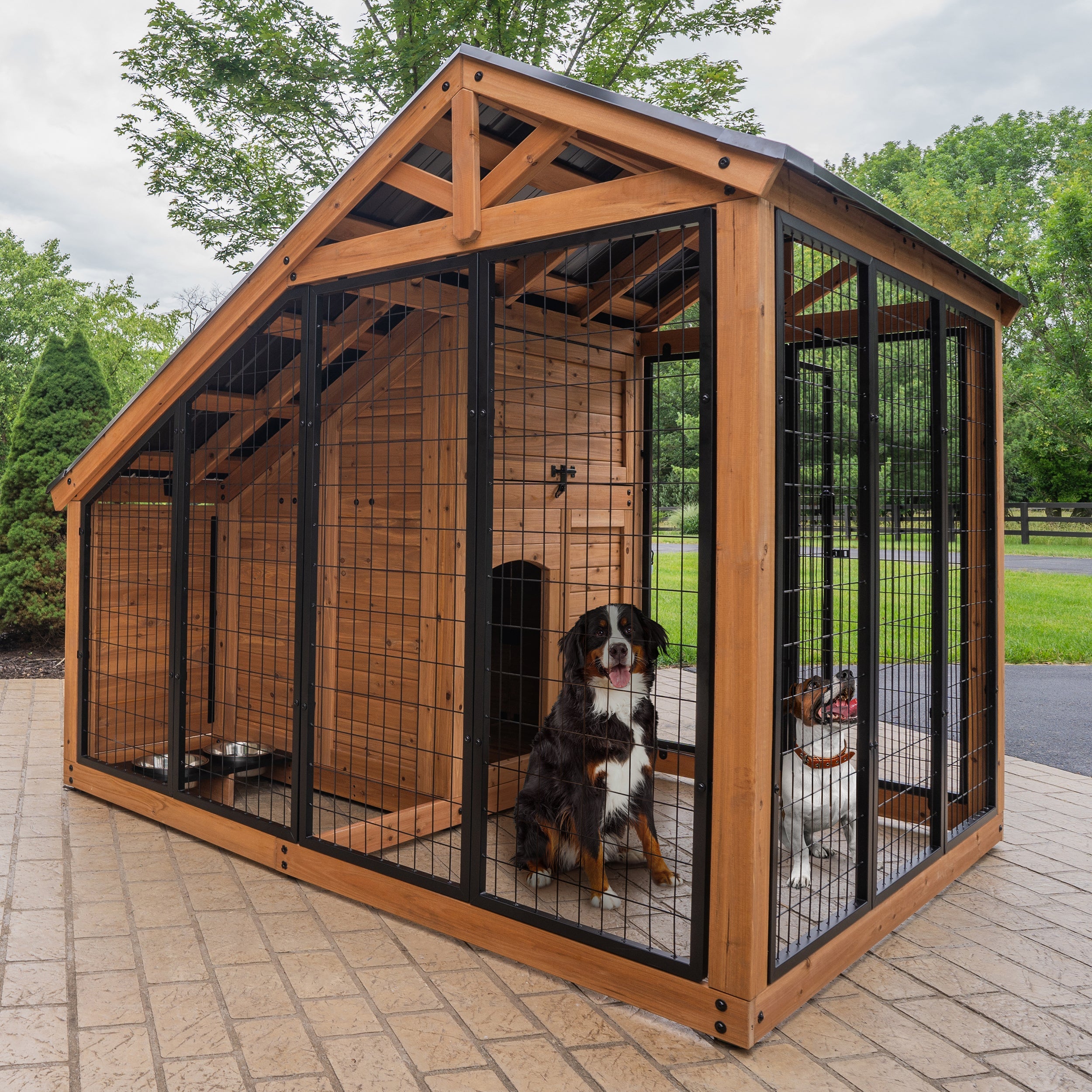 SIZE_AnimalEnclosure_Hero-With-Dogs_v2